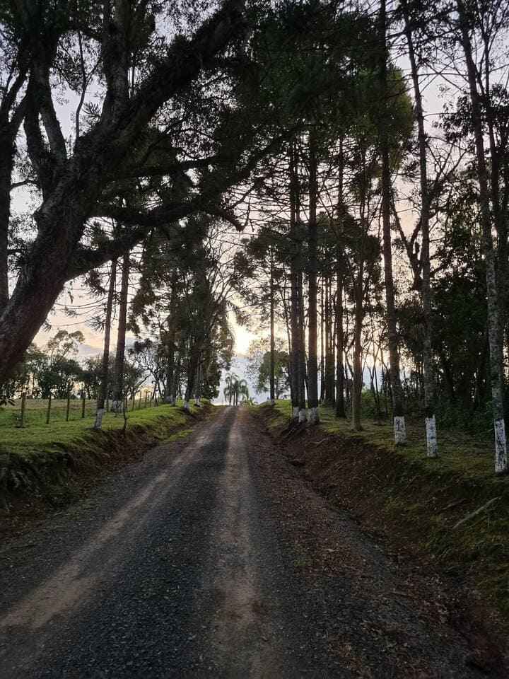 Contato com a natureza