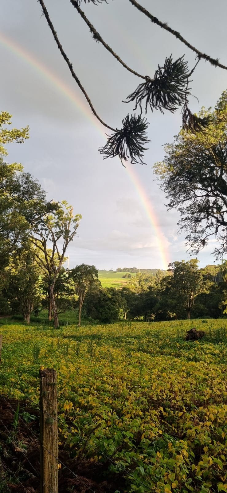 Área Verde & Trilhas