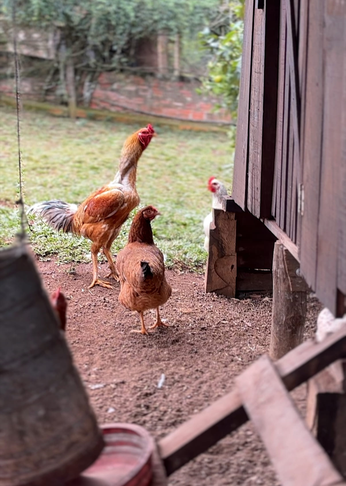 Paisagem da Chácara Fornazari em Irati Paraná